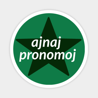 Esperanto Pronouns - Pronomoj - ajnaj pronomoj Magnet